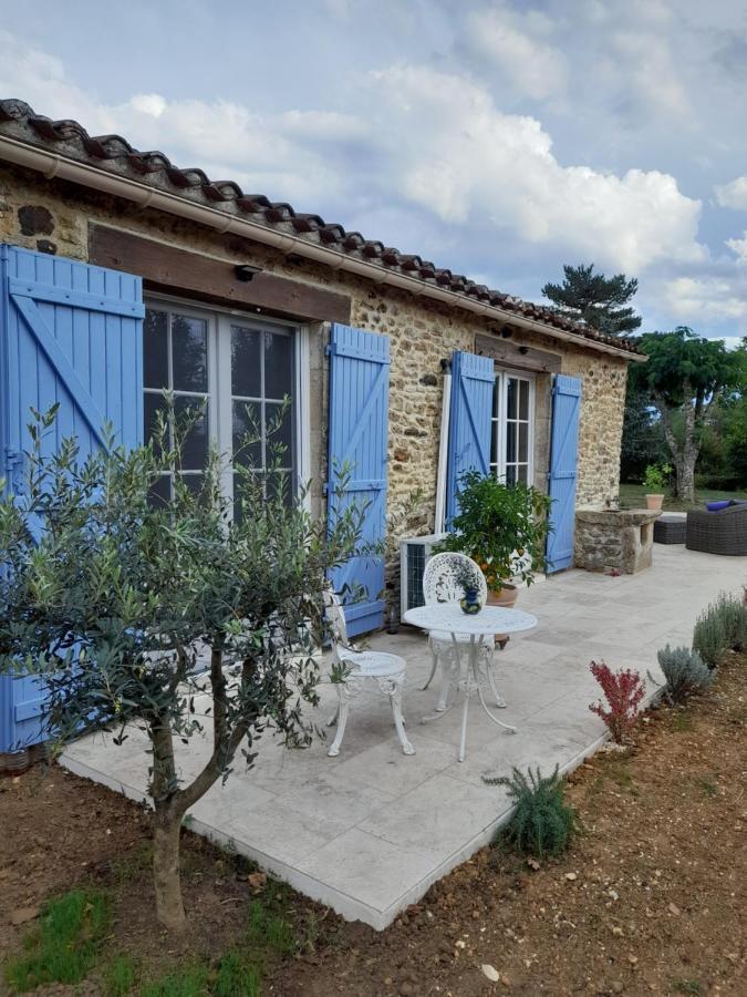 La Petite Maison Bleue Avec Piscine Loubejac Exteriér fotografie