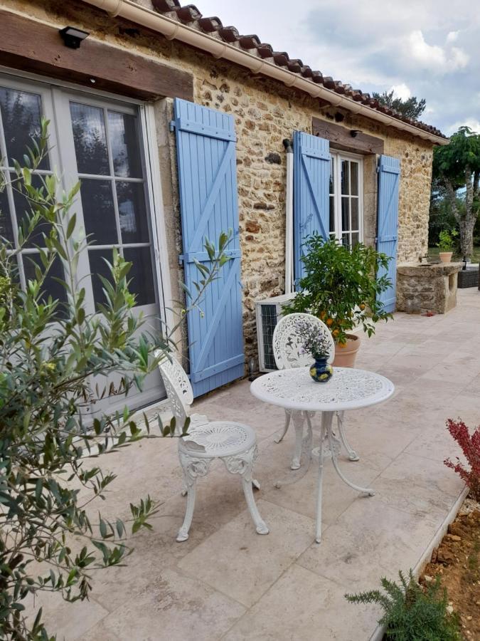 La Petite Maison Bleue Avec Piscine Loubejac Exteriér fotografie