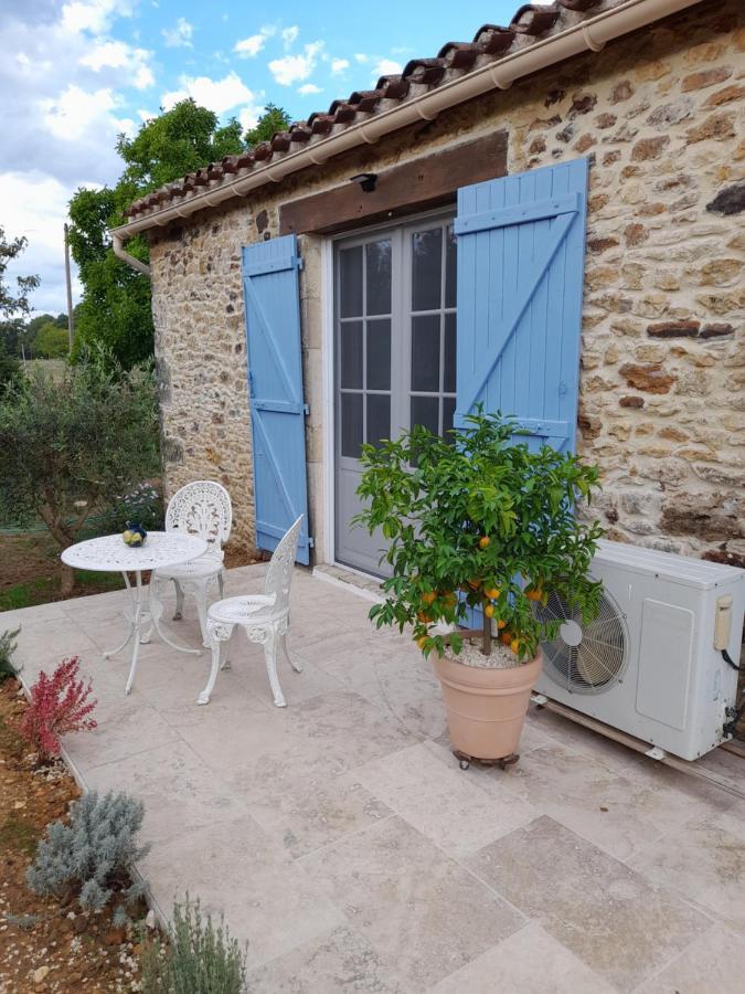 La Petite Maison Bleue Avec Piscine Loubejac Exteriér fotografie